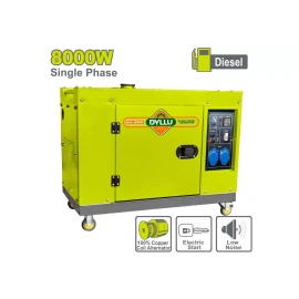 Бесшумный дизельный генератор (со стартером 8000 Вт DTDG2A100