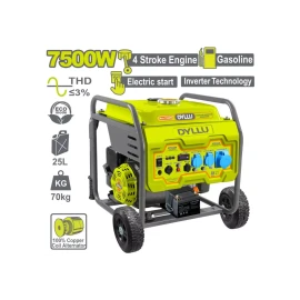 Բենզինային գեներատոր ինվերտորային 7.5 կՎտ DYLLU DTGEAB11