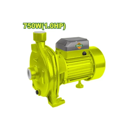 Ջրի պոմպ DYLLU DTWPCA03 750Վտ