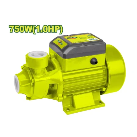 Ջրի պոմպ DYLLU DTWPVA03 750Վտ